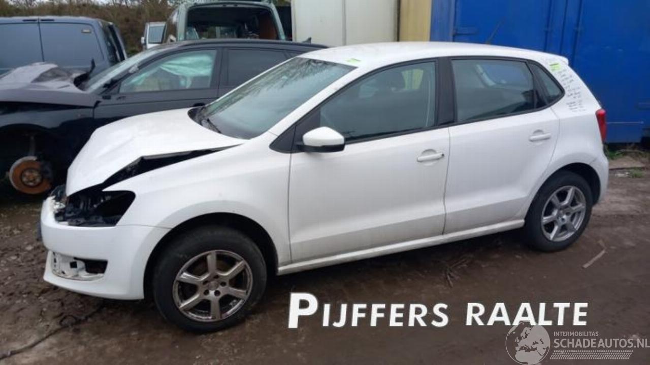 Volkswagen Polo Polo V (6R), Hatchback, 2009 / 2017 1.2 12V BlueMotion Technology