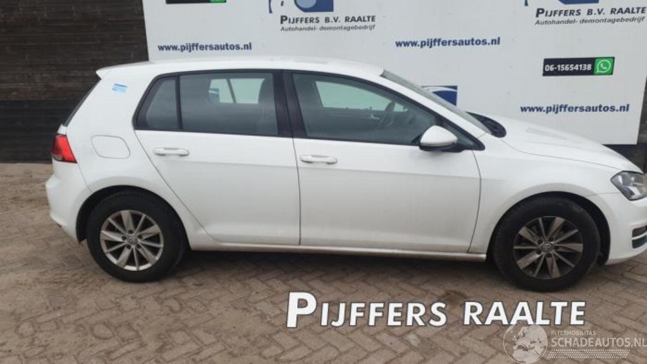 Volkswagen Golf Golf VII (AUA), Hatchback, 2012 / 2021 1.2 TSI 16V