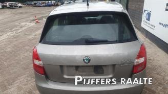 Skoda Fabia Fabia II (5J), Hatchback 5-drs, 2006 / 2014 1.2 TDI 12V Greenline picture 9