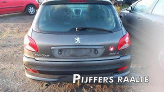 Peugeot 206 206+ (2L/M), Hatchback, 2009 / 2013 1.4 XS picture 3