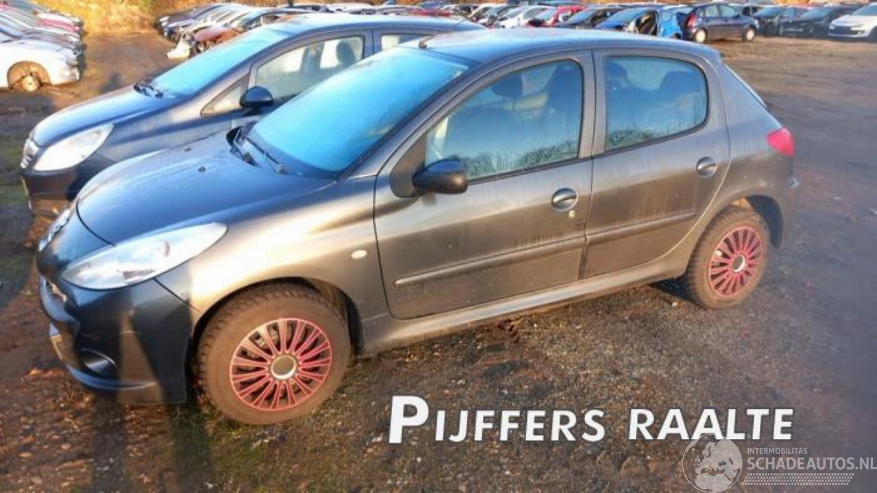 Peugeot 206 206+ (2L/M), Hatchback, 2009 / 2013 1.4 XS