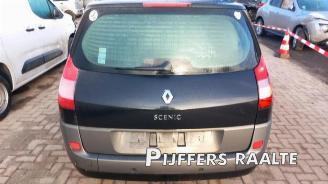 Renault Grand-scenic Grand Scenic II (JM), MPV, 2004 / 2009 2.0 16V picture 7
