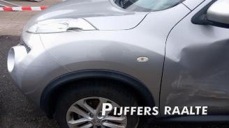 Nissan Juke Juke (F15), SUV, 2010 / 2019 1.6 16V picture 8