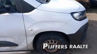 Opel Combo Combo Cargo, Van, 2018 1.5 CDTI 100 picture 6