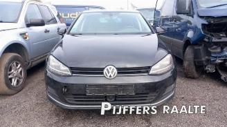  Volkswagen Golf Golf VII (AUA), Hatchback, 2012 / 2021 1.6 TDI 16V 2013/3