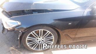 BMW 5-serie 5 serie (G30), Sedan, 2016 530d 3.0 TwinPower Turbo 24V picture 14