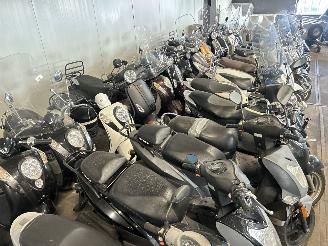 Overige  Partij 53 scooters picture 13