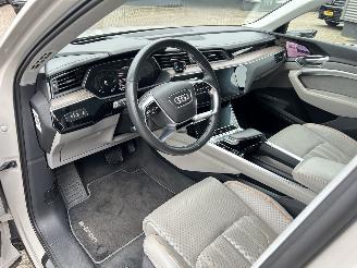 Audi E-tron 55 Quattro Advanced 95 kWh picture 9