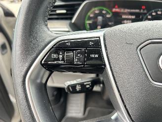 Audi E-tron 55 Quattro Advanced 95 kWh picture 19