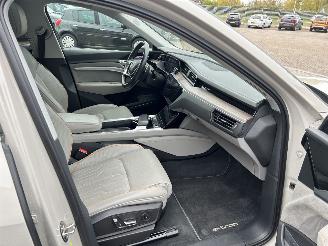 Audi E-tron 55 Quattro Advanced 95 kWh picture 11