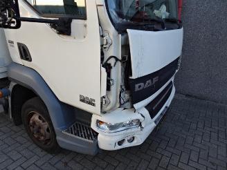 DAF FA 45 LF45G08 daf lf 45g08 6 meterbak met laadklep picture 7
