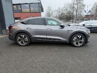 Audi E-tron 55 quattro edition 95 kWh  PANORAMADAK picture 8