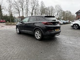 Opel Grandland 1.2 Turbo Online Edition (SUV 5-dr.) picture 10