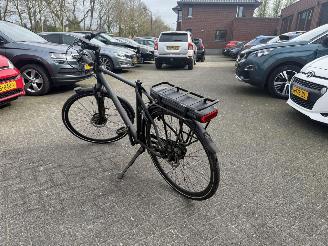 Stella  VINCENZA picture 3