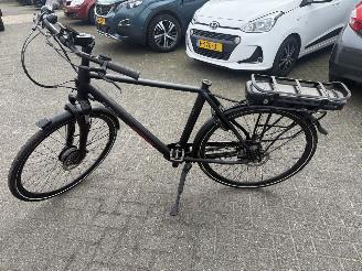 Stella  VINCENZA picture 2