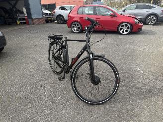 Stella  VINCENZA picture 7