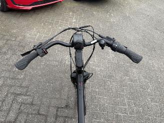 Stella  VINCENZA picture 10