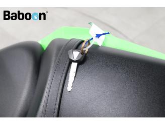 Kawasaki Ninja 650 KRT Edition picture 24