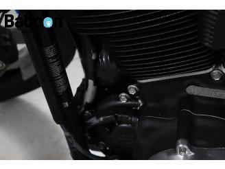 Harley-Davidson  FXST Softail Standard ABS picture 23