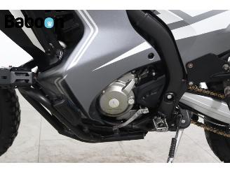 Honda CRF 250 Rally picture 19