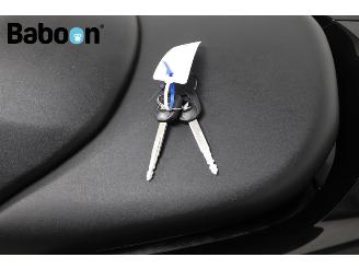 Honda  Forza 300 C-ABS picture 22