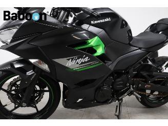 Kawasaki  Ninja 400 picture 13