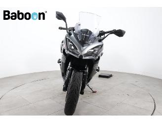 Kawasaki  Ninja 1000 SX picture 3