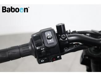 Kawasaki Z 900 ABS picture 18