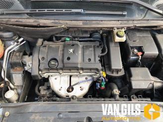 Peugeot 307 307 Break (3E), Combi, 2002 / 2009 1.6 16V picture 17