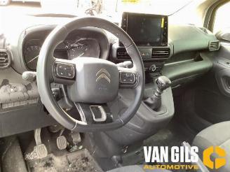 Citroën Berlingo Berlingo, Van, 2018 1.5 BlueHDi 100 picture 7