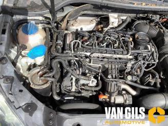 Volkswagen Golf Golf VI (5K1), Hatchback, 2008 / 2013 1.6 TDI 16V picture 9