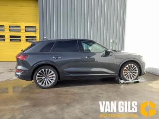  Audi E-tron e-tron (GEN), SUV, 2018 / 2023 55 quattro 2023/1