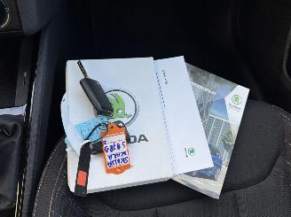 Skoda Scala 1.0 TSI Ambition picture 17