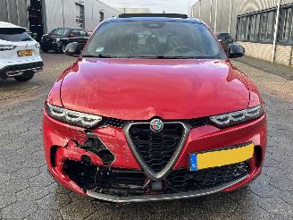Alfa Romeo Tonale 1.3T PHEV Edizione Speciale picture 2