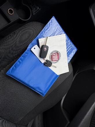 Fiat Panda 1.2 Edizione Cool picture 19