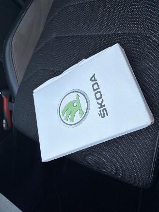 Skoda Kodiaq 1.5 TSI Business Edition picture 13