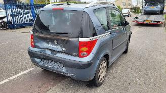 Peugeot 1007 1.6-16v gENTRY picture 3