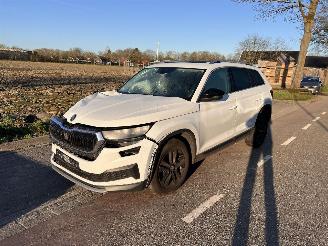 Skoda Kodiaq 1.5 TSi Business Edition 7P picture 2