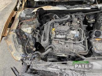 Volkswagen Polo Polo VI (AW1), Hatchback 5-drs, 2017 1.0 TSI 12V picture 8