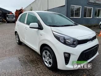 Kia Picanto Picanto (JA), Hatchback, 2017 1.0 DPi 12V picture 3