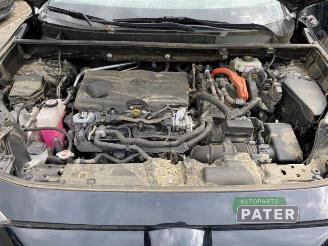 Toyota Rav-4 RAV4 (A5), Terreinwagen, 2018 2.5 Hybrid 16V AWD picture 12