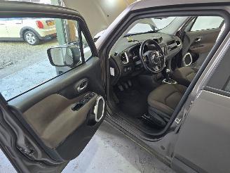 Jeep Renegade 1.4 MAir Night Eagle picture 20