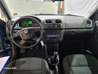 Skoda Fabia 1.2 TDI Greenline picture 21