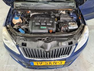 Skoda Fabia 1.2 TDI Greenline picture 28