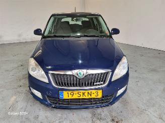 Skoda Fabia 1.2 TDI Greenline picture 2