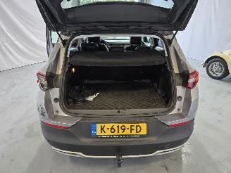 Opel Grandland X picture 23