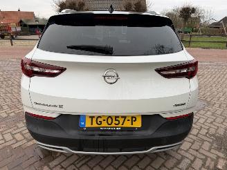 Opel Grandland X 1.2 Turbo Business Executive picture 7