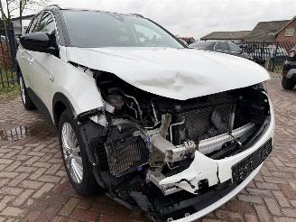 Opel Grandland X 1.2 Turbo Business Executive picture 4