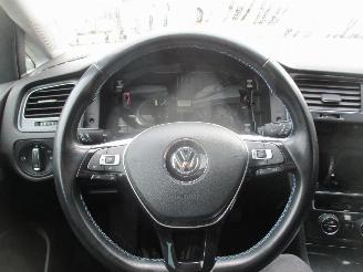 Volkswagen e-Golf E-DITION picture 11