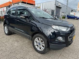  Ford EcoSport 1.0 EcoBoost 2015/3